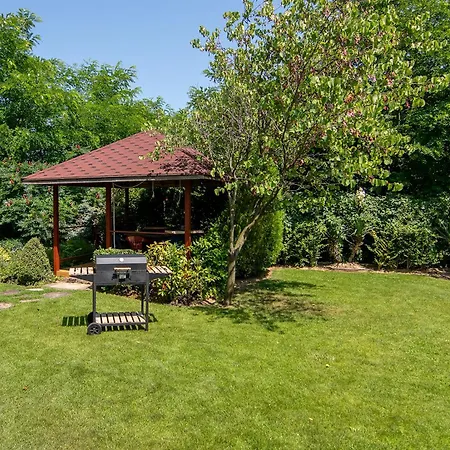 The Garden