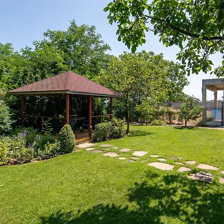 The Garden *
